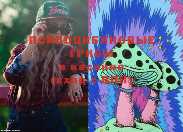 прущая мука Богородицк